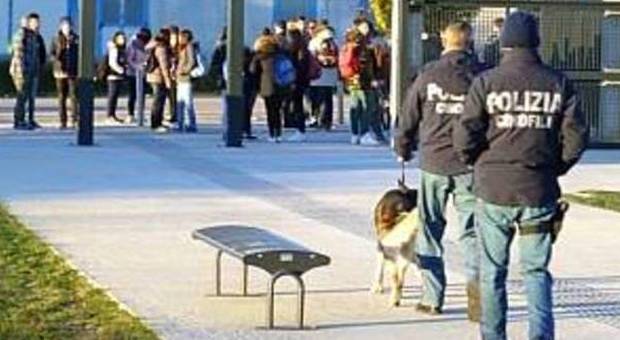 L'operazione antidroga della polizia di Pordenone: controlli con i cani
