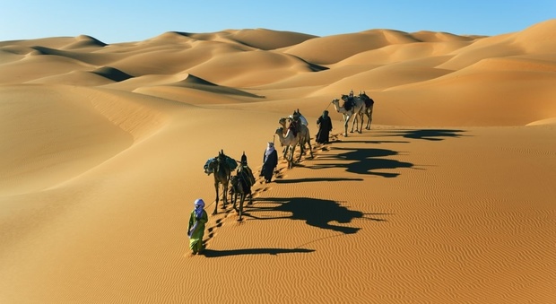 Il deserto del Sahara era popolato e ricco di vegetazione. Lo dice il Dna