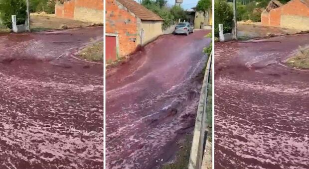 Esplodono le cisterne di vino, tutto il paese inondato: fiumi di rosso lungo le strade FOTO