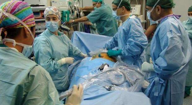 Napoli, muore a 22 anni per emorragia e dona gli organi: salvate due vite