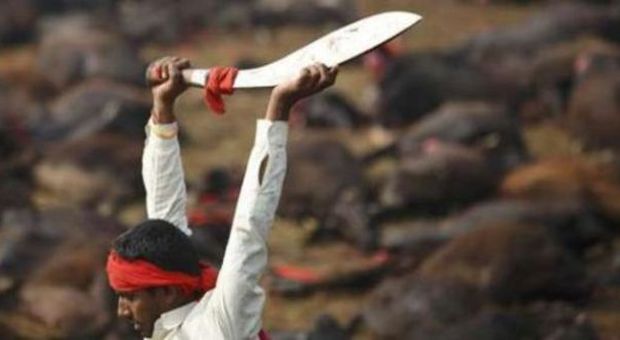 Bimbo di 4 anni viene decapitato in pubblico: orrore in India. «Un sacrificio per la dea Kali»