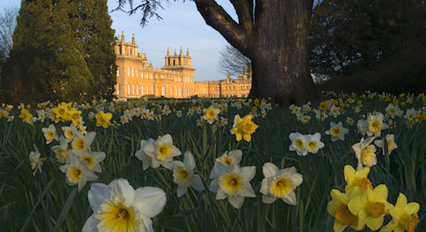 Blenheim Palace (foto di Visit Britain)