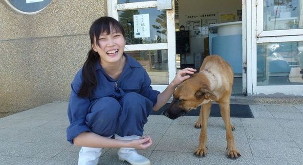 Jian Zhicheng, medico veterinario di Taiwan suicida (Mashable.com)