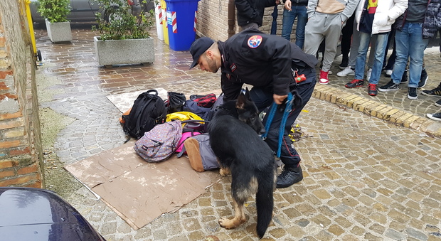 I controlli dei carabinieri con il cane antidroga