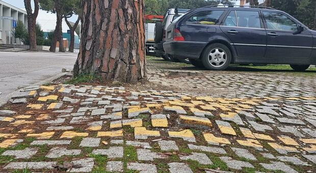 Strade e marciapiedi dissestati, a Porto San Giorgio si stila la mappa per le priorità
