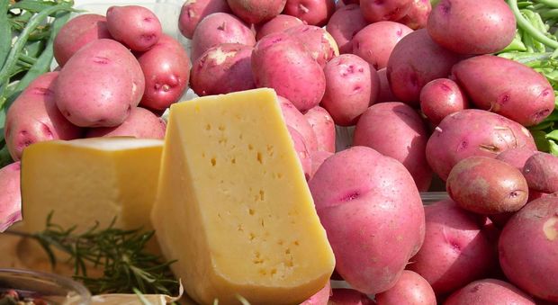 Che amore di patata: il famoso tubero dei Sibillini celebrato a Palmiano
