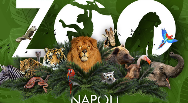 Lo zoo di Napoli è il primo in Italia nella Global Coalition #UnitedforBiodiversity