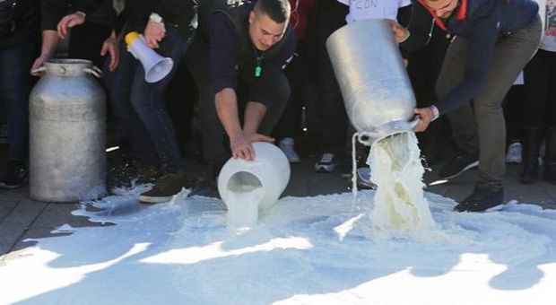 Protesta latte, la stima di Coldiretti: "gettati" 3 milioni di litri