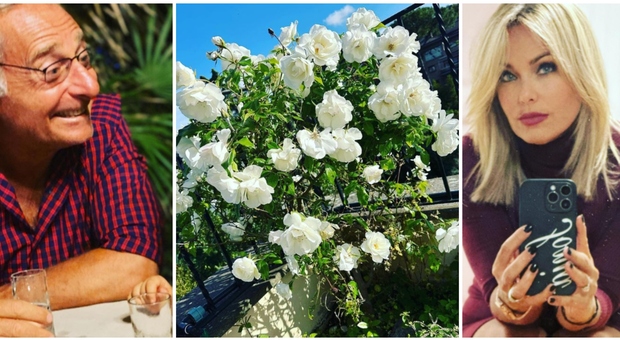 Paolo Bonolis, le rose rosse del papà fioriscono bianche. Sonia Bruganelli: «Quest’anno vuoi di nuovo dirci qualcosa...»
