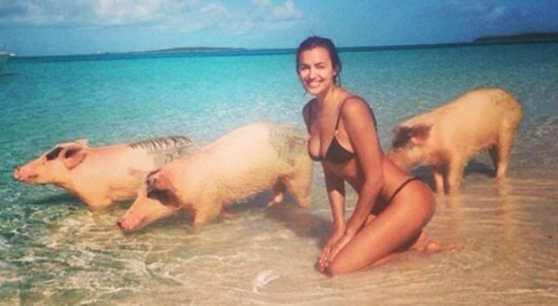 Irina Shayk ritratta in spiaggia con tre maiali (Instagram)