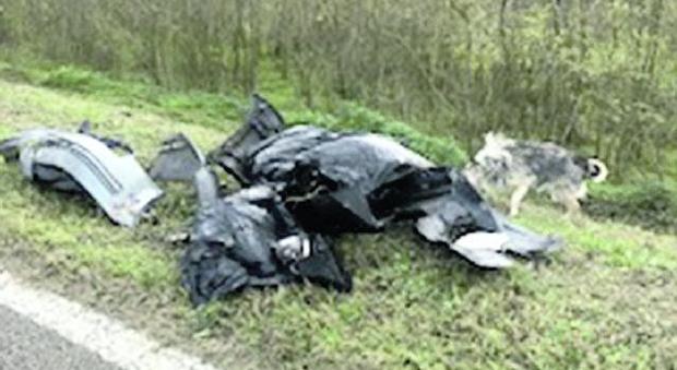 Inciviltà: la carcassa di un'auto abbandonata lungo l'argine e ricoperta di spazzatura