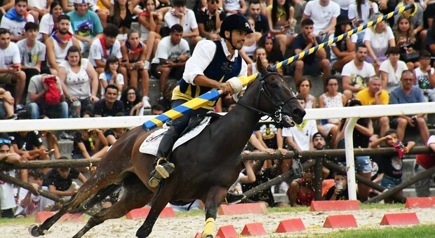 Luca Innocenzi in una edizione dellla Quintana di Ascoli Piceno