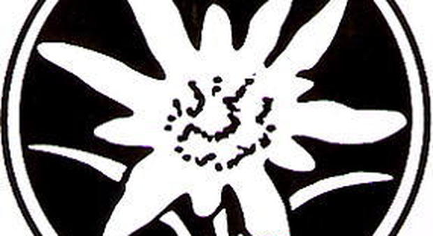Il logo della SVP