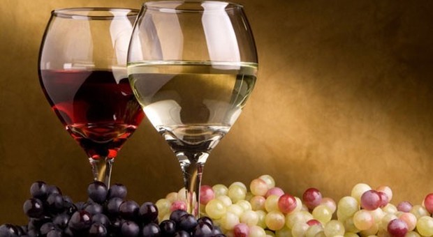 "La Tuscia del Vino 2020". Si presenta a Orvieto la guida dei vini della Tuscia