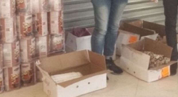 Vermi nelle confezioni di pasta, sequestri in un supermercato a Brindisi