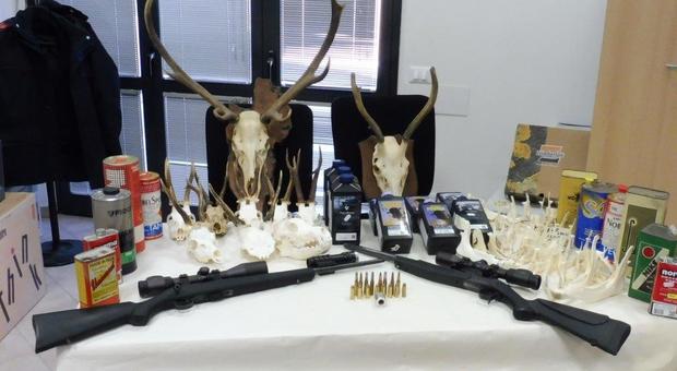 Le armi e i trofei sequestrati dai carabinieri forestali