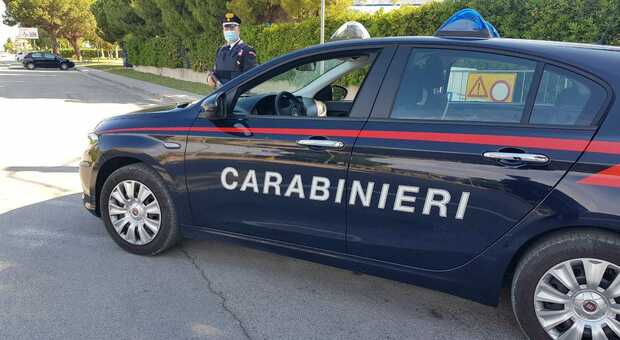 Coltivava marijuana nel garage: denunciato dai carabinieri. Sequestrate tutte le piante di cannabis