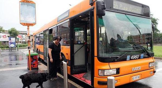 No ai cani di media taglia sui bus, il Tar dà ragione all'azienda trasporti