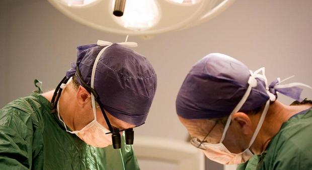 Trapianti, scambio di reni tra Italia e Spagna per salvare due pazienti