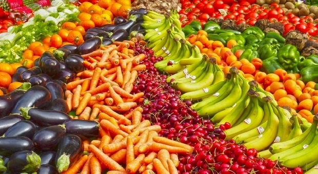 Istat, prezzi record per la verdura: «Più alti degli ultimi 20 anni»