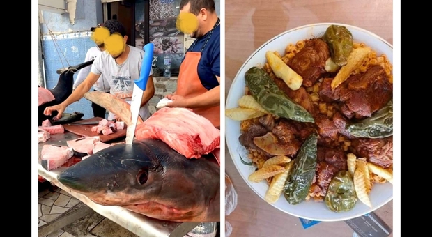Lo squalo finito sul banco della pescheria tunisina prima di essere cucinato. (Immagini diffuse da Monastir Tv sami mansour su Fb)