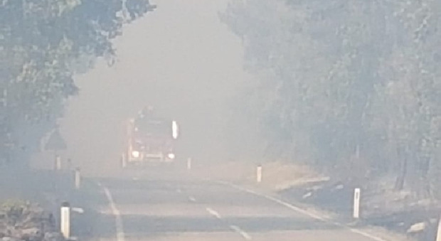 Incendio boschivo in Slovenia a pochi metri dal confine italiano