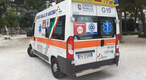 Ancona, morsa al volto dal suo pitbull: 13enne in ospedale
