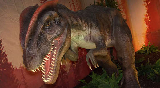 Napoli, il ritorno dei dinosauri: mostra «mostruosa» con gli ambienti del mesozoico | Video