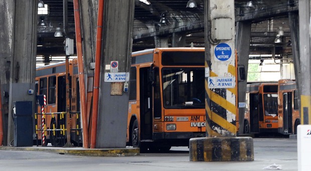 Napoli, autista bus 147 aggredita a via Foria da automobilista