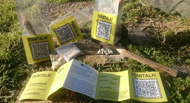 Il Kit "Piantala!" per la coltivazione indoor del fagiolo