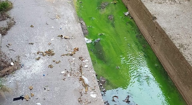 Choc a Nocera Inferiore: le acque del fiume si tingono di verde