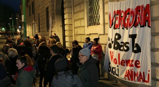 Il presidio dello scorso marzo a Benevento contro la violenza sugli animali