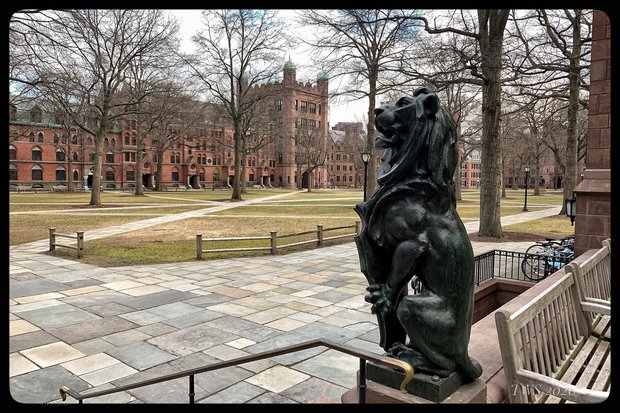 Old Campus a Yale, deserto (Foto Terry Sanders)