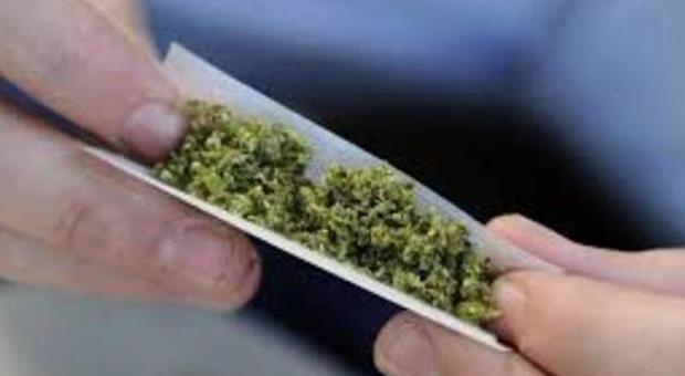 Cannabis per uso terapeutico, arriva una proposta di legge in Campania