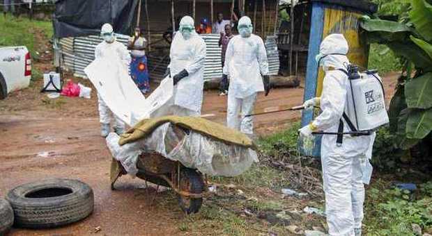 Ebola, l'annuncio dell'Oms: «Il vaccino pronto entro il 2015»