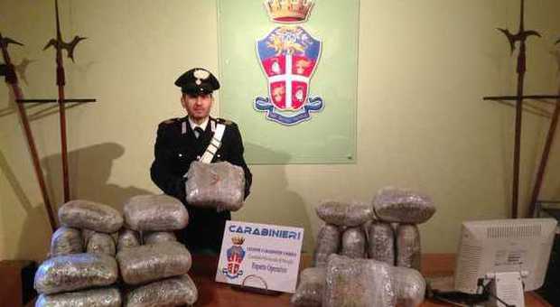 Perugia, fiumi di droga per Natale: maxi sequestro dei carabinieri