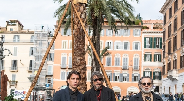 Due nuove palme a piazza di Spagna: è il regalo della maison Valentino per sostituire le vecchie piante rovinate dal punteruolo rosso