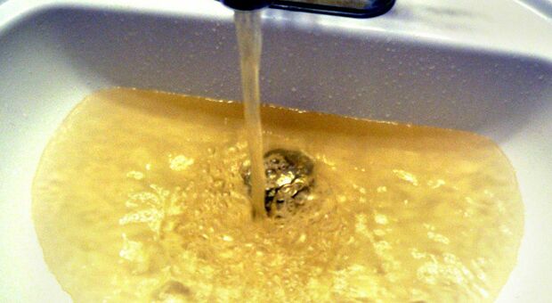 Batteri nell'acqua della scuola: sospesa l'erogazione