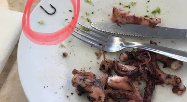 Ingoia un amo mangiando il polpo al ristorante: indagati ristoratore, cuoco e quattro medici