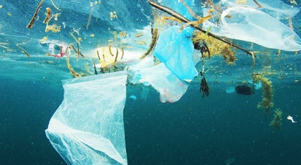 Niente plastica in spiaggia: i giudici accolgono le istanze della Puglia
