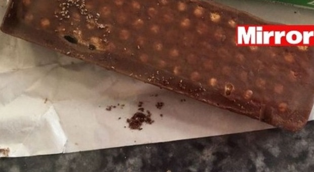 Bimbo di quattro anni morde biscotto al cioccolato e scopre qualcosa di disgustoso