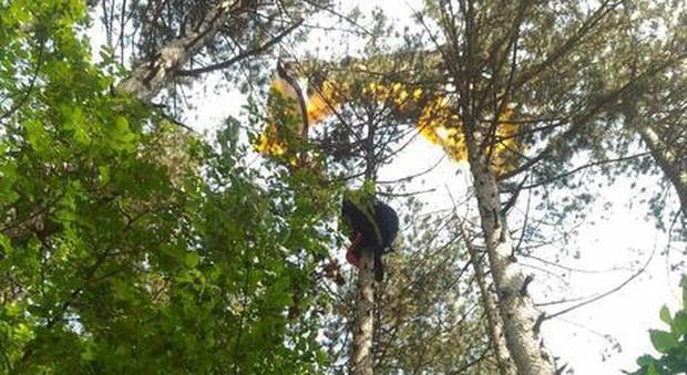 Precipita col parapendio sugli alberi e resta sospesa a 25 metri da terra, i soccorritori si arrampicano: salva