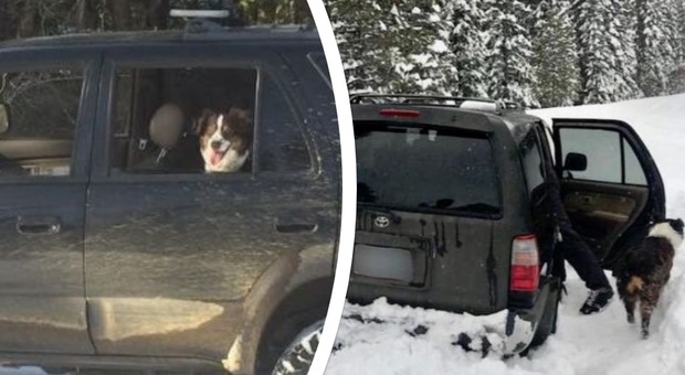 Intrappolati nella neve per cinque giorni: «Io e il mio cane siamo sopravvissuti con della salsa»