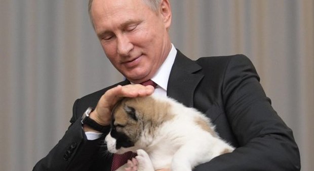 Russia, il cucciolo e il presidente: un regalo-simbolo per Putin
