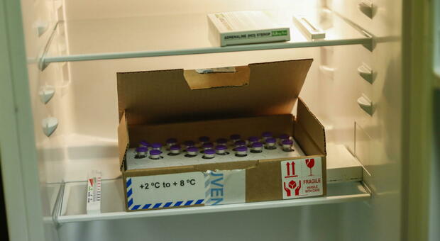 Vaccino Pfizer, l'agenzia Ema: «Può stare in frigo scongelato fino a un mese»