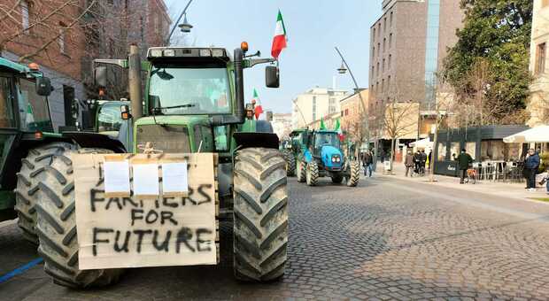 I trattori tornano in Veneto contro gli aiuti in ritardo. Oggi a Padova la marcia. Avepa: «Stiamo pagando»
