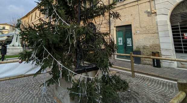 Vandali scatenati, bruciato l'albero di Natale in piazza. Furioso il sindaco: «Aiutateci a trovarli»