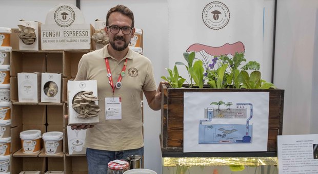 Maker Faire 2019, ecco i Funghi Espresso che nascono dai fondi del caffè