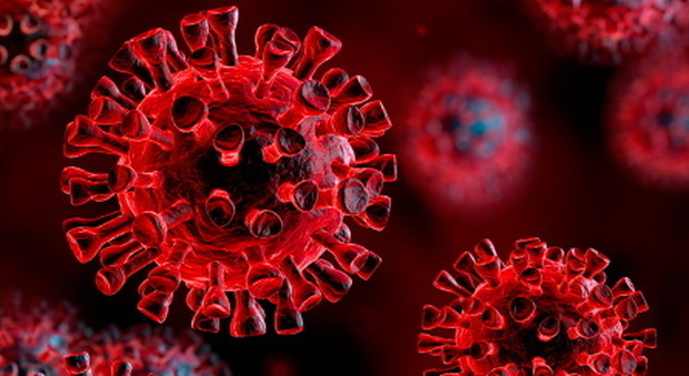 Coronavirus, all'Università di Napoli scoperta sostanza naturale che blocca l'accesso del virus nelle cellule umane