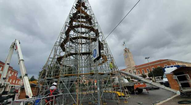 Quasi ultimato il montaggio dell'albero di Natale in piazza del Popolo a Latina